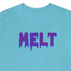 Phish SOAM lot shirt