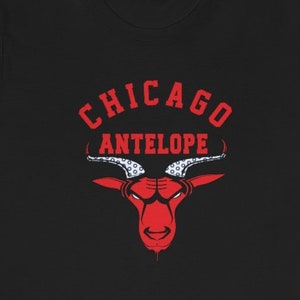 Phish Chicago Antelope lot shirt