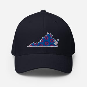 Phish Virginia Antelope back